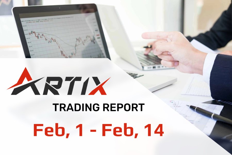 ARTIX-rapport från 01.02 till 14.02 (2022)